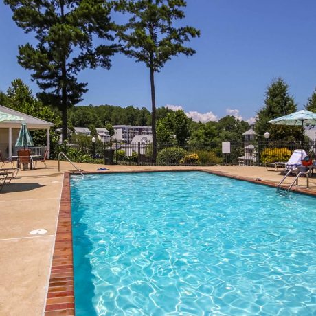 Clear pool with trees