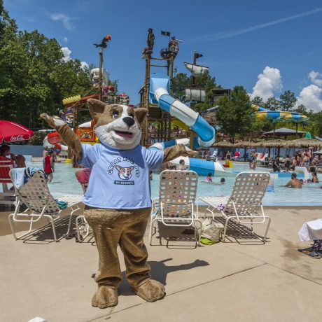 Pirates Bay Waterpark in Leesburg AL (Northern Alabama), a sprawling aquatic playground located on a hilltop overlooking Weiss Lake. There’s fun for everyone with tube slides, body slides, multiple pools, waterfalls, splash playground, food, drinks, parties, and so much more!